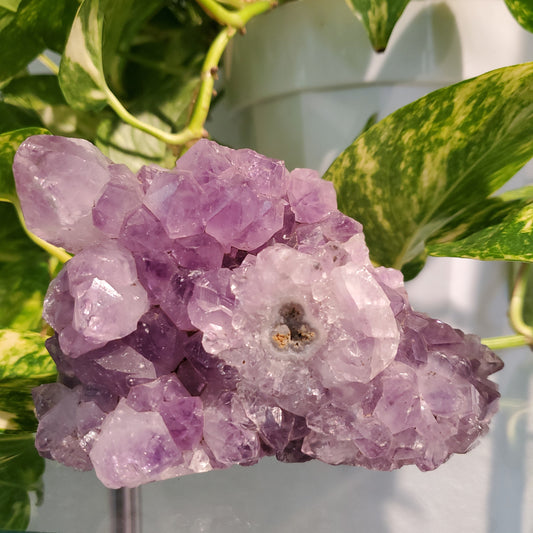 Gorgeous Amethyst Cluster (5")