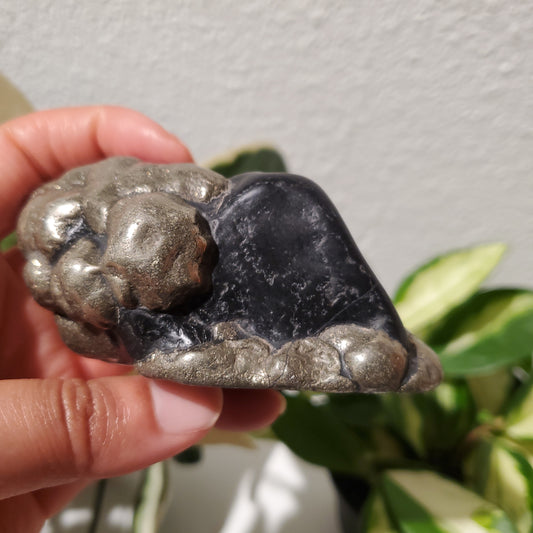 Magnesite with Pyrite aka Healers Gold (3.5")