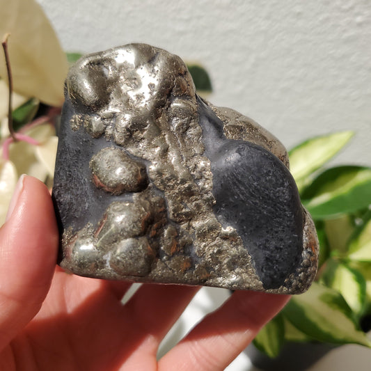 Magnesite with Pyrite aka Healers Gold (2.75")